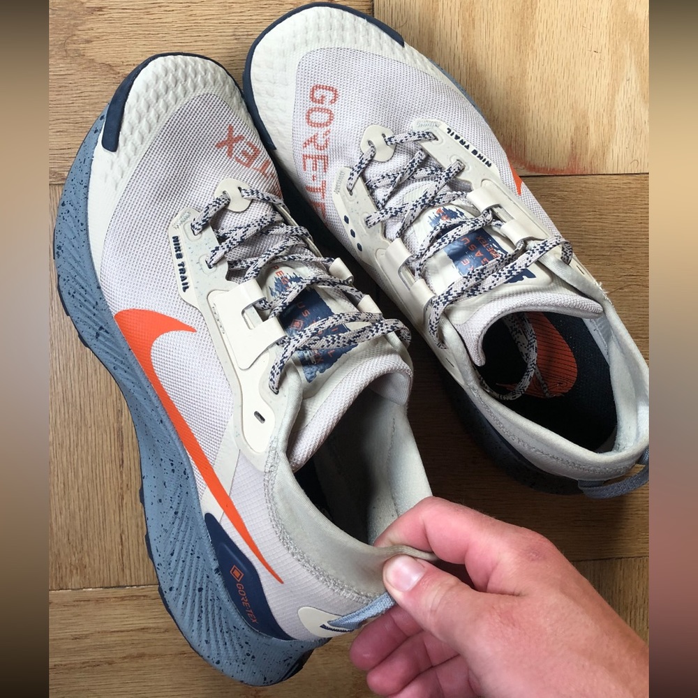 Nike Trail Pegasus 3 GORE-TEX